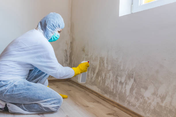 Bathroom Mold Removal assessment in Rowlett bathroom